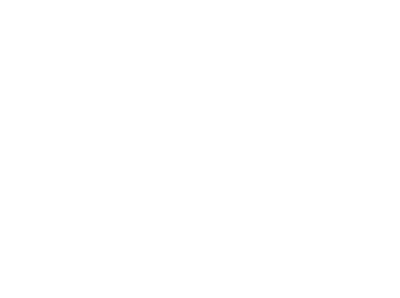 magenta media site web seo
