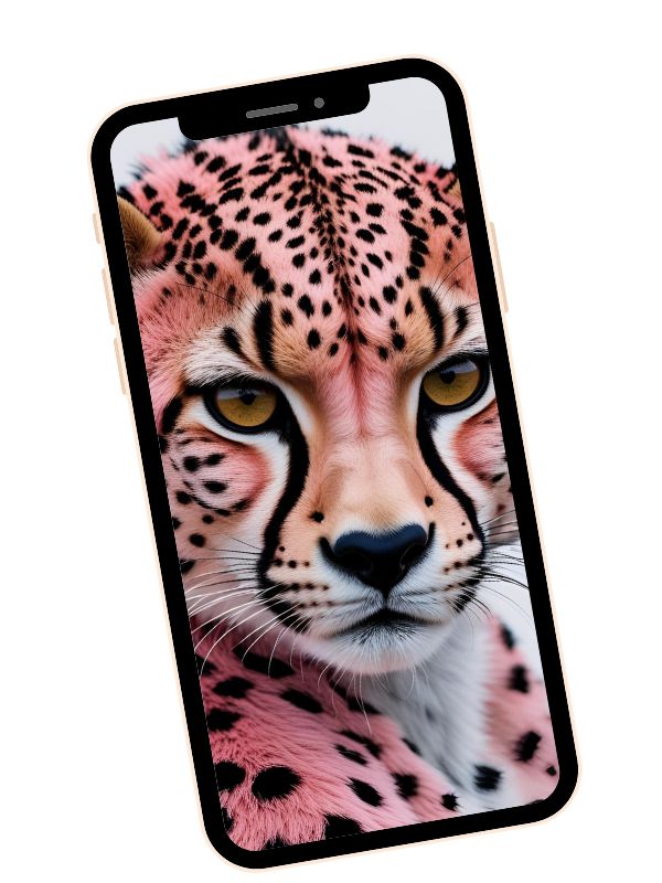 Design site web forfaits site web SEO entreprise de lanaudiere Josée Le Francois de Magenta media